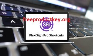 Flexisign Pro 12.6 Crack Free Download With [100% Working]